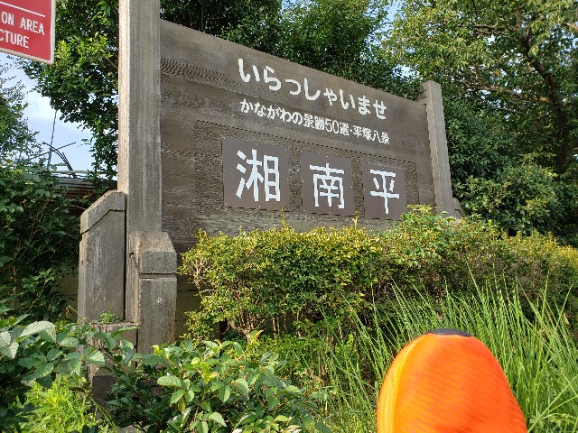 f:id:nochibo3:20210902134237j:image f:id:nochibo3:20210902134237j:image