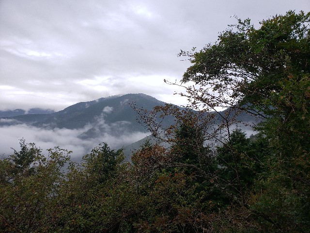 f:id:nochibo3:20211011181945j:image f:id:nochibo3:20211011181945j:image