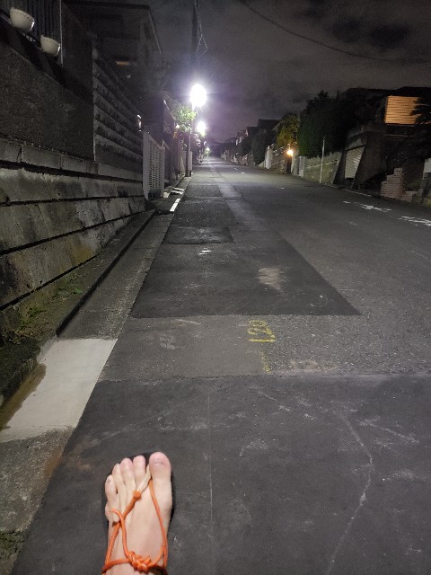 f:id:nochibo3:20211019213528j:image f:id:nochibo3:20211019213528j:image