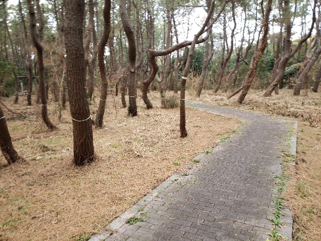 f:id:nochibo3:20220131180950j:plain