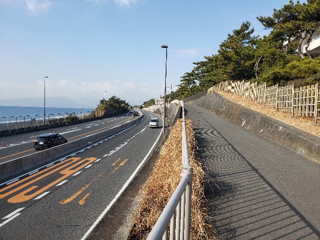 f:id:nochibo3:20220131181120j:plain