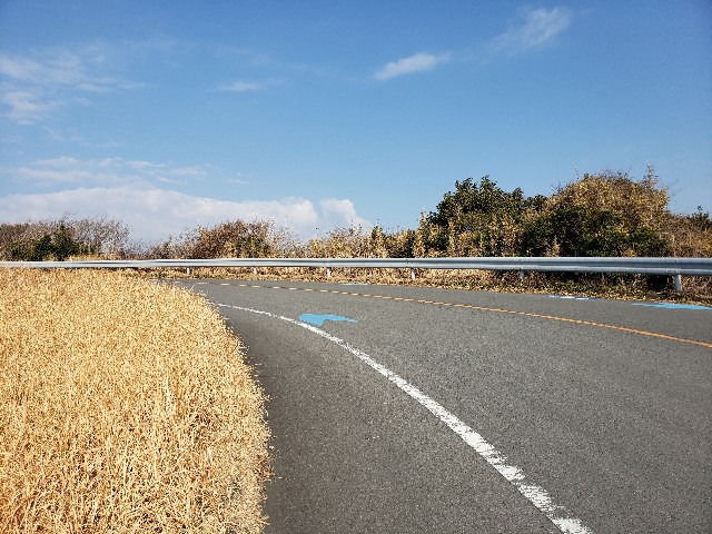 f:id:nochibo3:20220131181132j:plain