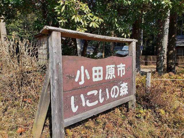 f:id:nochibo3:20220131185248j:plain