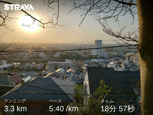 f:id:nochibo3:20220307155148j:plain