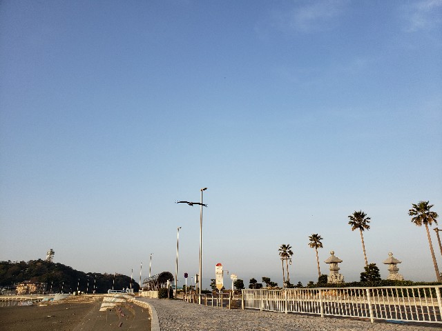 f:id:nochibo3:20220317154824j:image f:id:nochibo3:20220317154824j:image