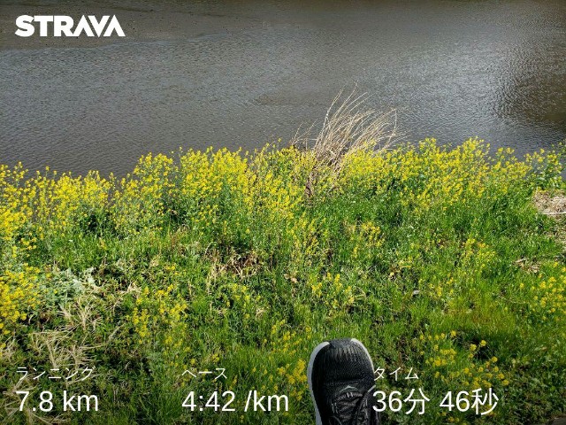 f:id:nochibo3:20220401164702j:plain