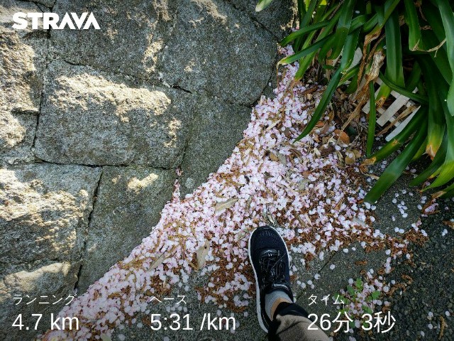 f:id:nochibo3:20220411123454j:plain