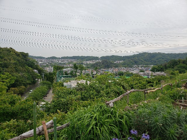 f:id:nochibo3:20220502172930j:image f:id:nochibo3:20220502172930j:image