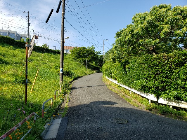 f:id:nochibo3:20220603115603j:image f:id:nochibo3:20220603115603j:image