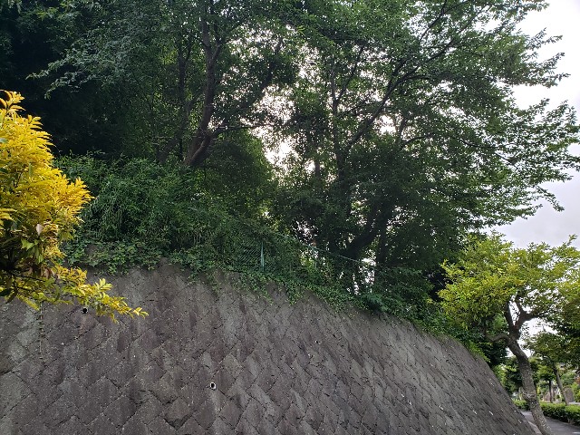 f:id:nochibo3:20220708174105j:image
