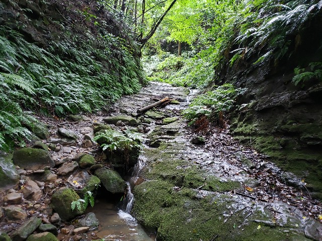 f:id:nochibo3:20220727175939j:image