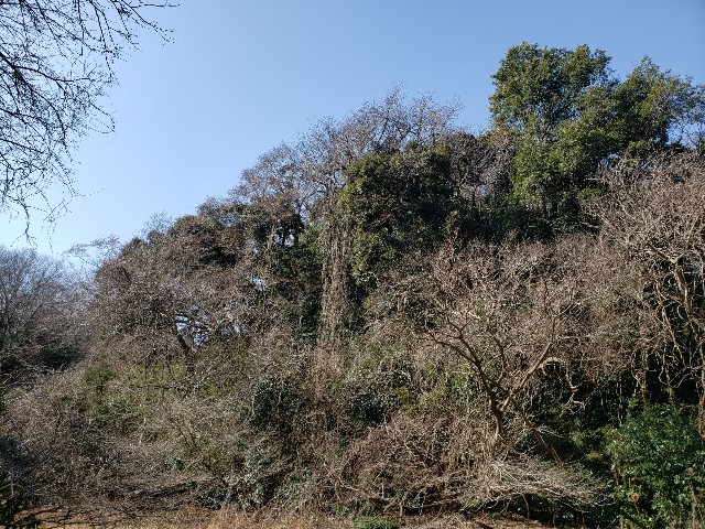 f:id:nochibo3:20230222093210j:image