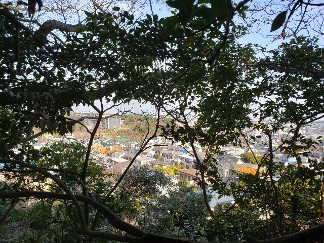 f:id:nochibo3:20230315215022j:image
