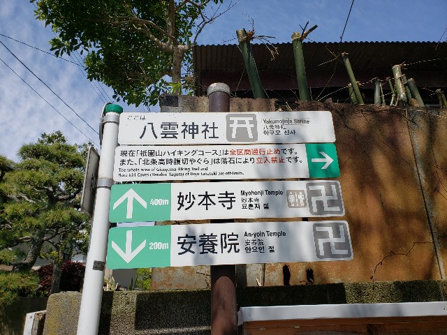 f:id:nochibo3:20230410181027j:image