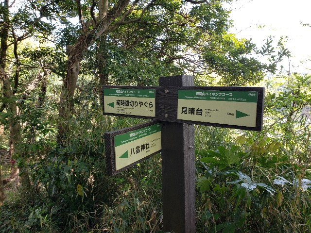 f:id:nochibo3:20230410181619j:image