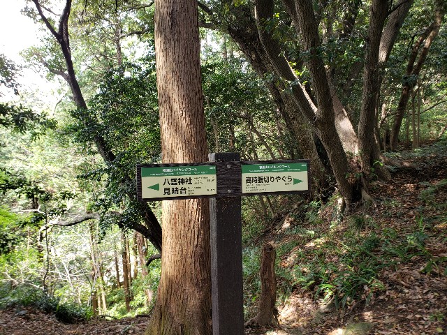 f:id:nochibo3:20230410181939j:image