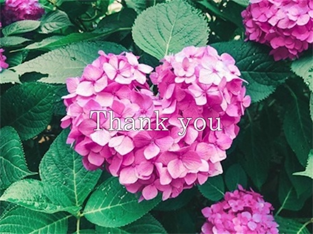 ピンク色の紫陽花とありがとうの文字