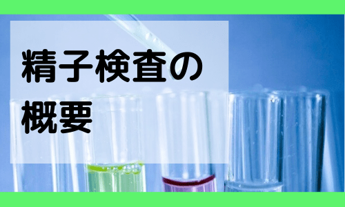 精子検査の概要