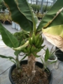 20100515133048