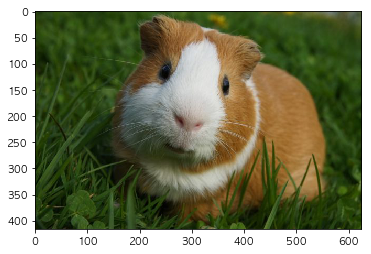 f:id:noconocolib:20190105043454p:plain f:id:noconocolib:20190105043454p:plain