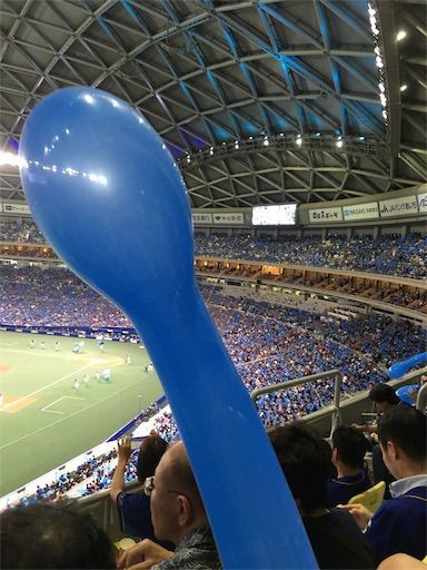 f:id:nodame79:20190608215009j:image f:id:nodame79:20190608215009j:image
