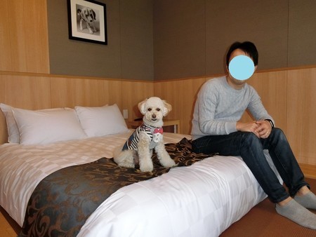 f:id:nodanori:20190112154543j:image