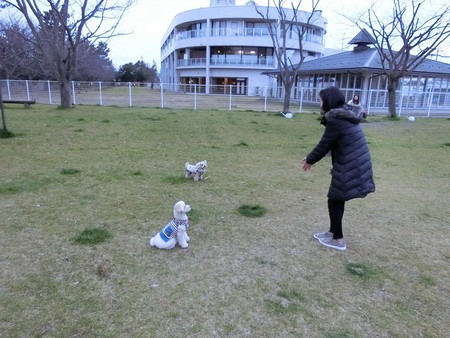 f:id:nodanori:20190126120718j:image