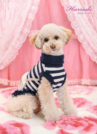 f:id:nodanori:20190126141006j:image