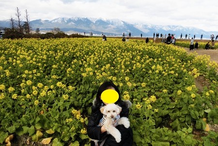 f:id:nodanori:20190126143609j:image