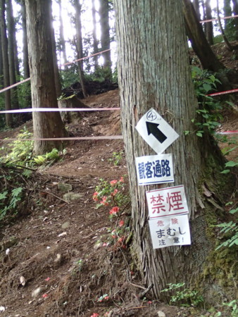 f:id:nodatesashimi:20170611073125j:image