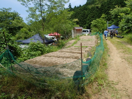 f:id:nodatesashimi:20170611134007j:image