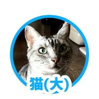 猫（大）