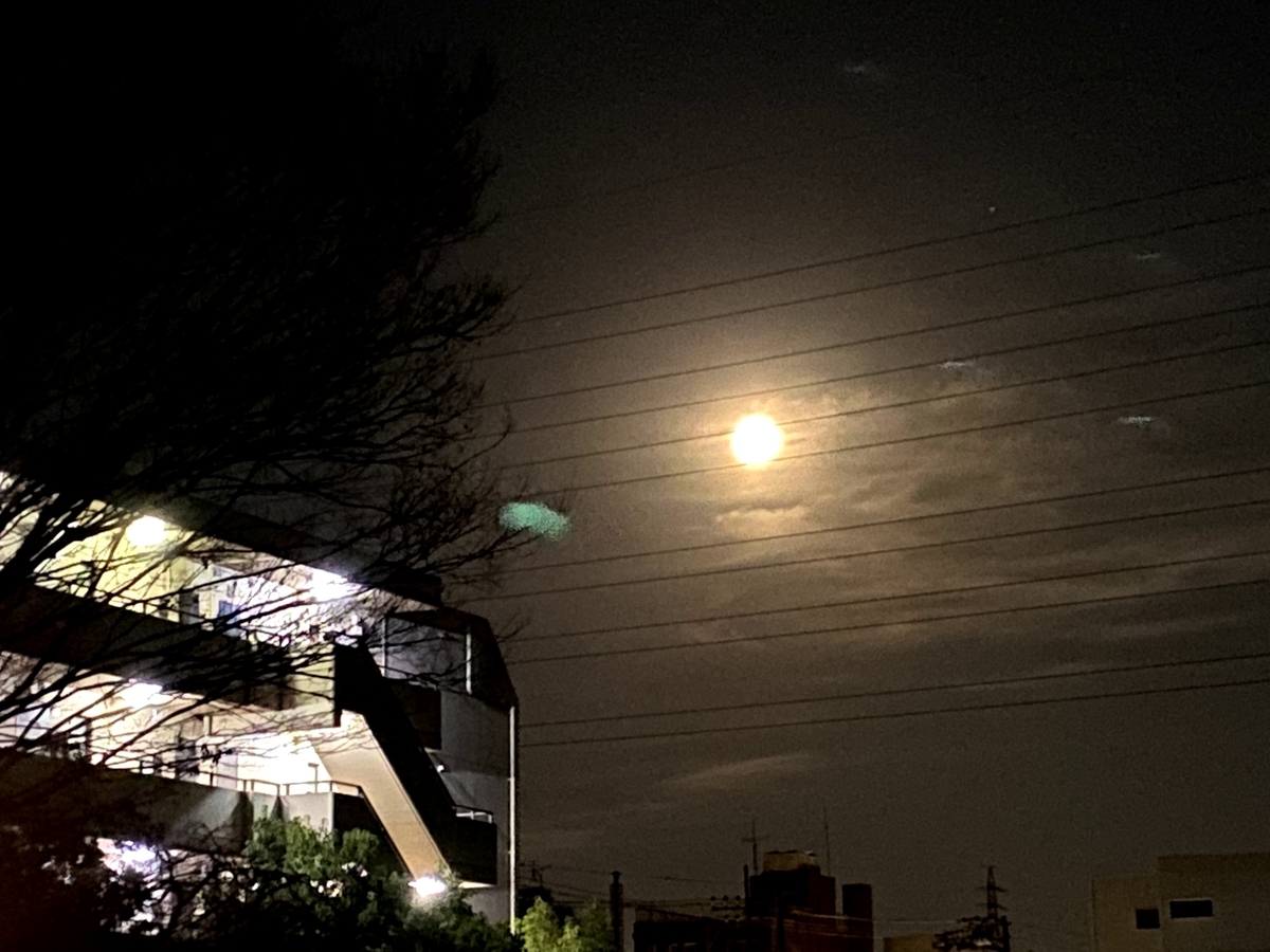 f:id:nodoameya:20201229213426j:plain