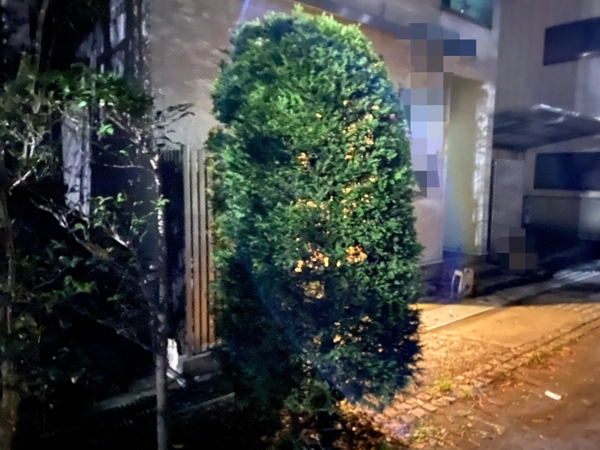 f:id:nodoameya:20201229213557j:plain