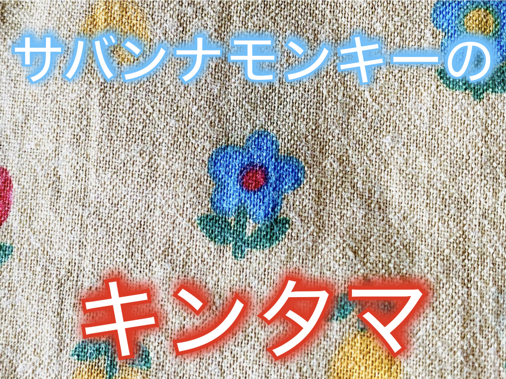 f:id:nodoameya:20210217153709j:plain
