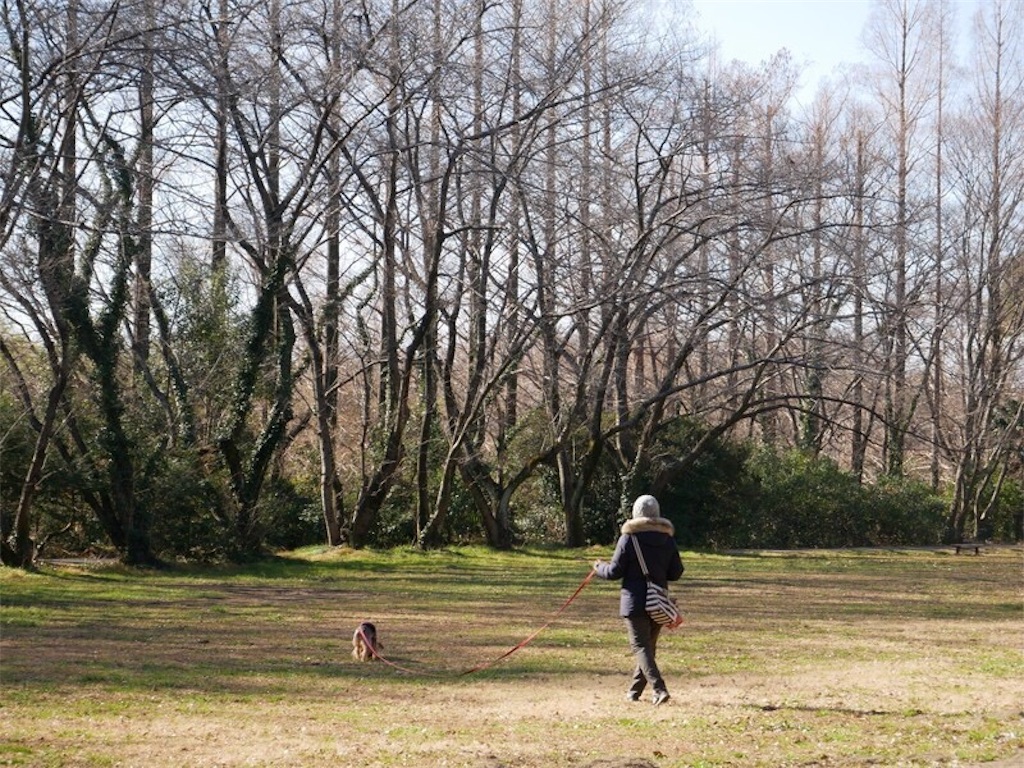 f:id:noel_mama:20190120194856j:image f:id:noel_mama:20190120194856j:image