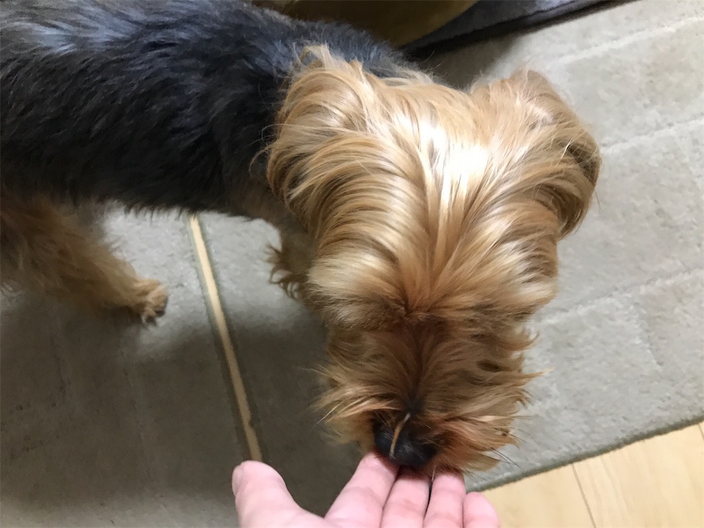 f:id:noel_mama:20190120201839j:image f:id:noel_mama:20190120201839j:image