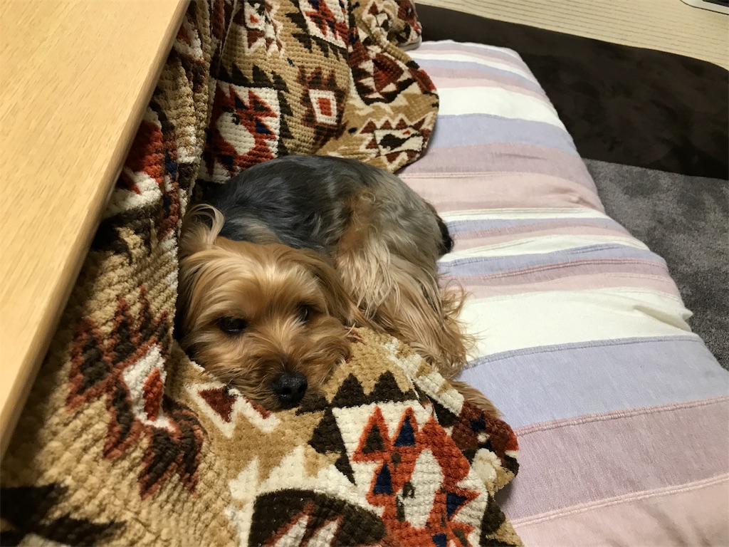 f:id:noel_mama:20190120202204j:image f:id:noel_mama:20190120202204j:image