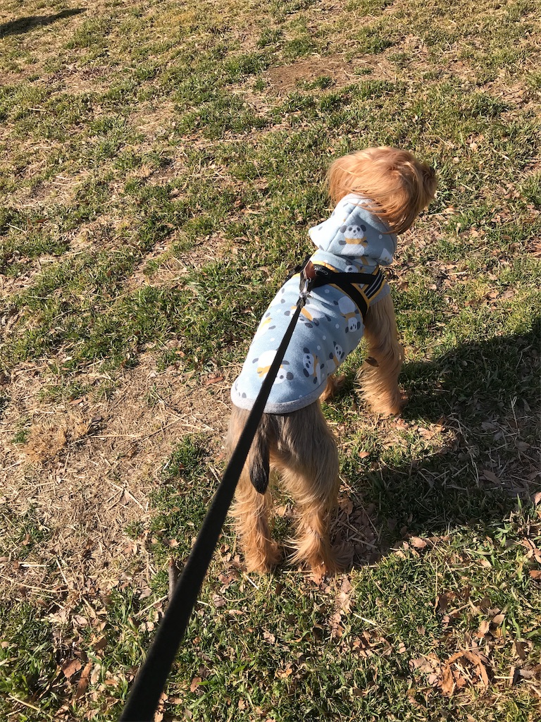 f:id:noel_mama:20190221204410j:image