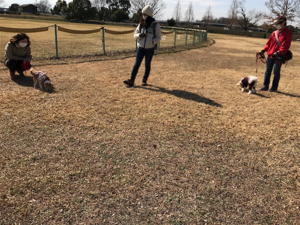 f:id:noel_mama:20190221204623j:image