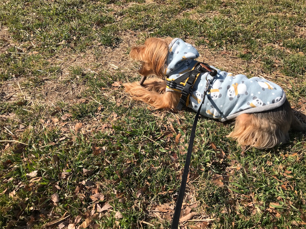 f:id:noel_mama:20190221204920j:image
