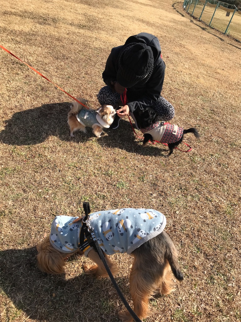 f:id:noel_mama:20190221205331j:image
