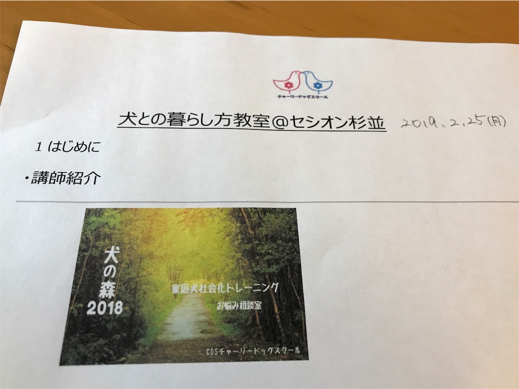 f:id:noel_mama:20190225180910j:image