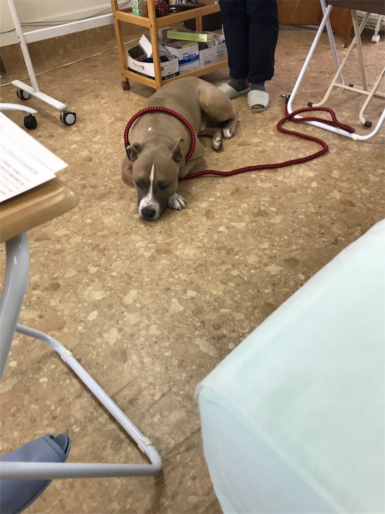 f:id:noel_mama:20190228191354j:image
