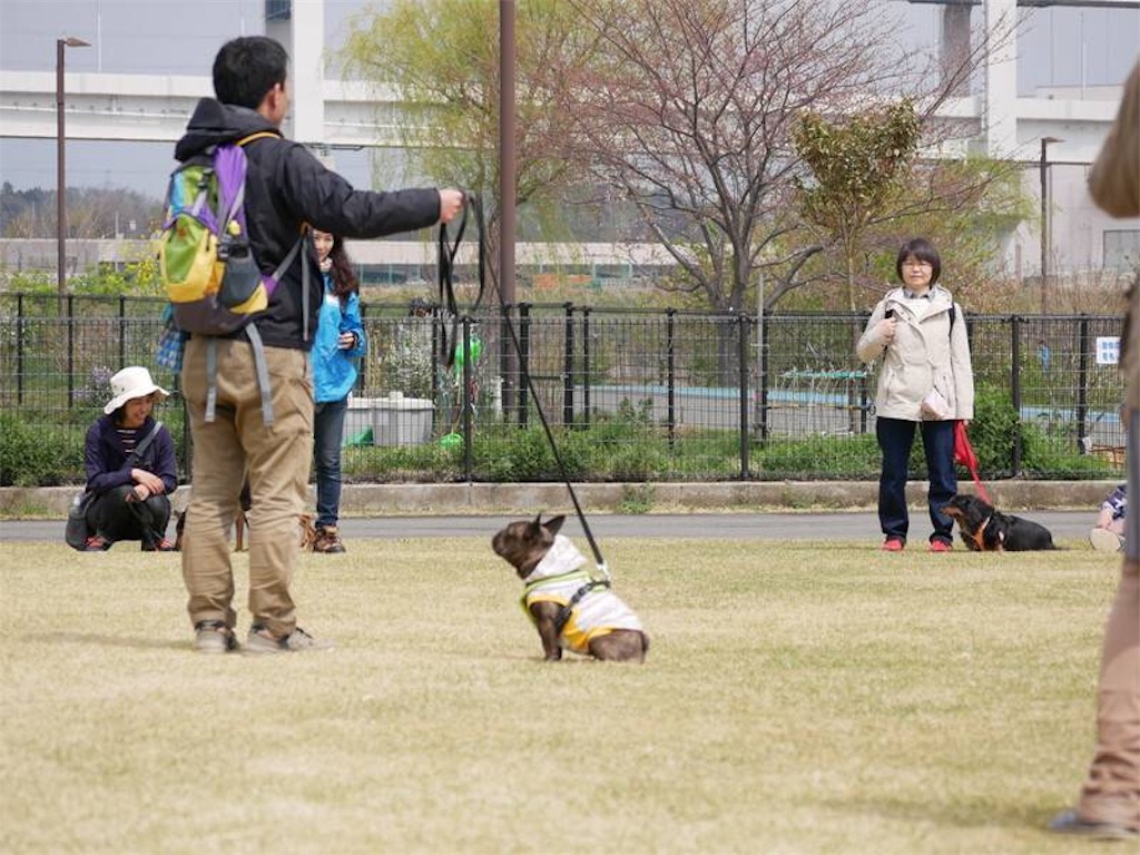 f:id:noel_mama:20190401100555j:image