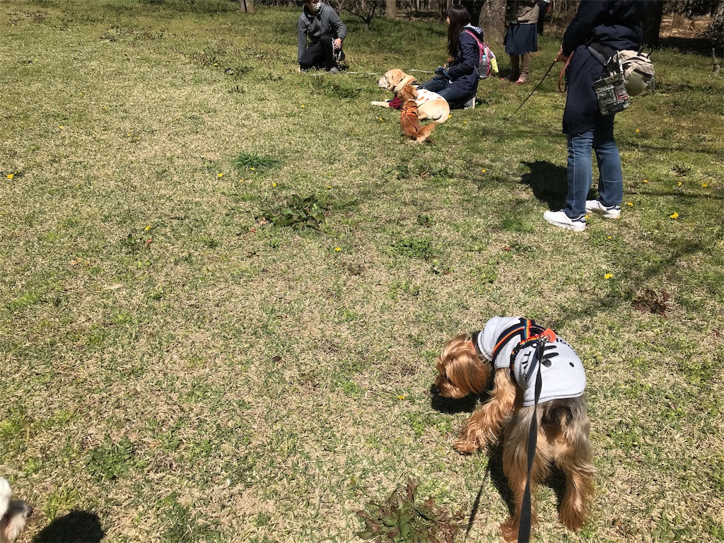 f:id:noel_mama:20190405161313j:image