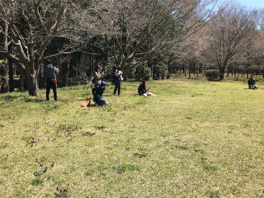 f:id:noel_mama:20190405161628j:image