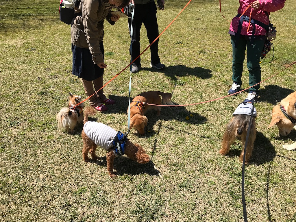f:id:noel_mama:20190405162537j:image