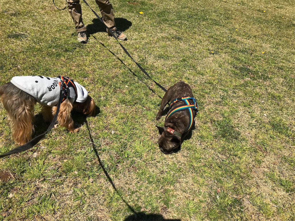 f:id:noel_mama:20190405162857j:image