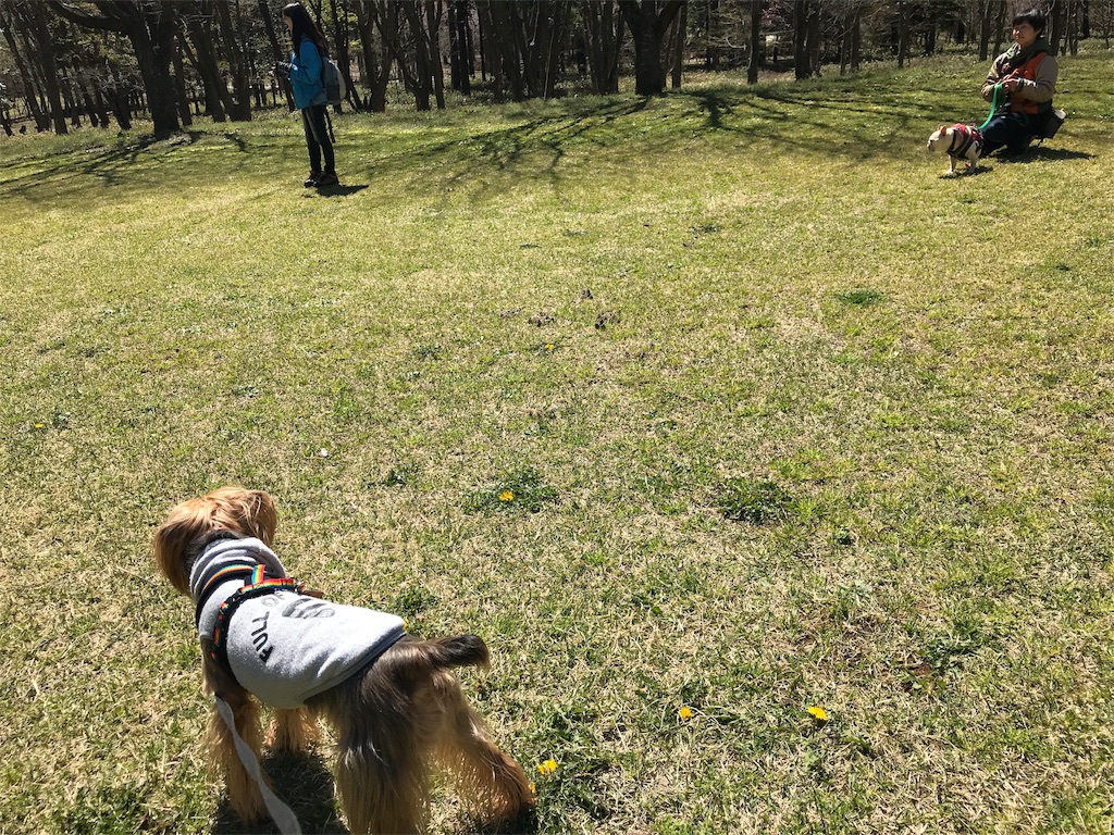 f:id:noel_mama:20190405163145j:image